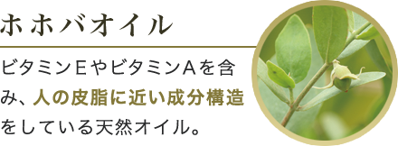 ホホバオイル ビタミンＥやビタミンＡを含み、人の皮脂に近い成分構造をしている天然オイル。