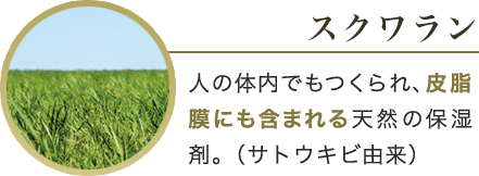 スクワラン 人の体内でもつくられ、皮脂膜にも含まれる天然の保湿剤。（サトウキビ由来）