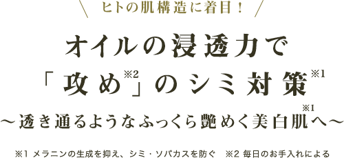 ヒトの肌構造に着目、オイルの浸透力
