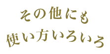 その他にも使い方いろいろ