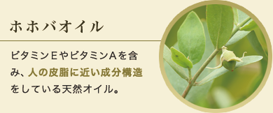 ホホバオイル ビタミンＥやビタミンＡを含み、人の皮脂に近い成分構造をしている天然オイル。