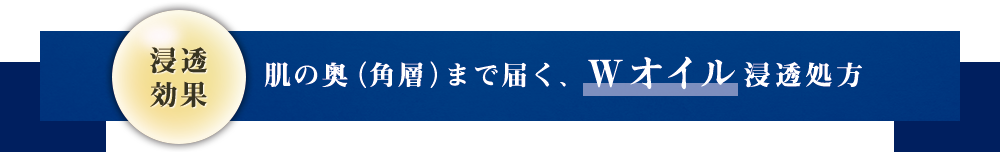 肌の奥（角層）まで届く、Ｗオイル浸透処方