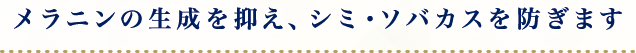 メラニンの生成を抑え、シミ・ソバカスを防ぎます