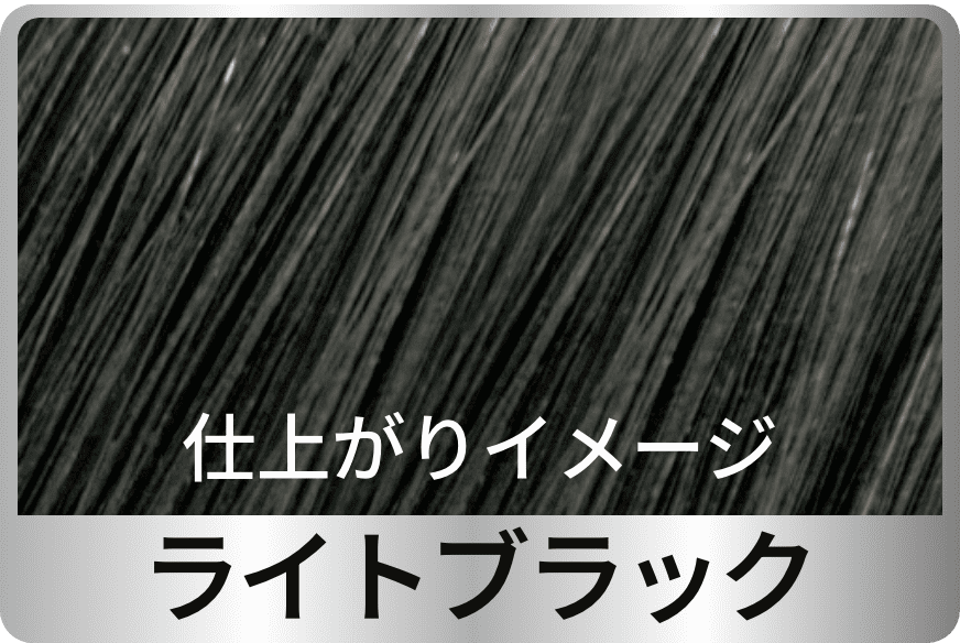 仕上がりイメージライトブラック