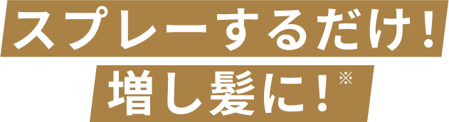 スプレーするだけ!増し髪に!