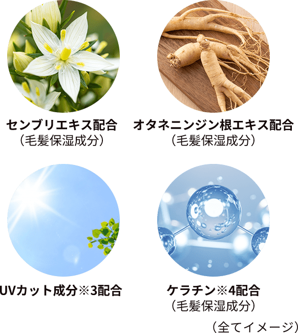 成分(イメージ)