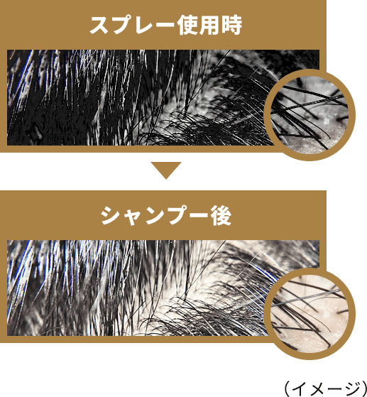 スプレー使用時シャンプー後(イメージ)