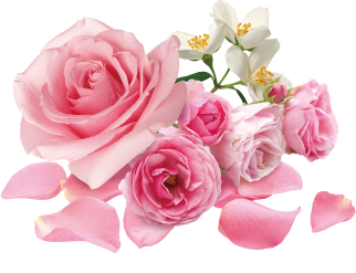 （イメージ）