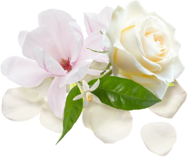 （イメージ）
