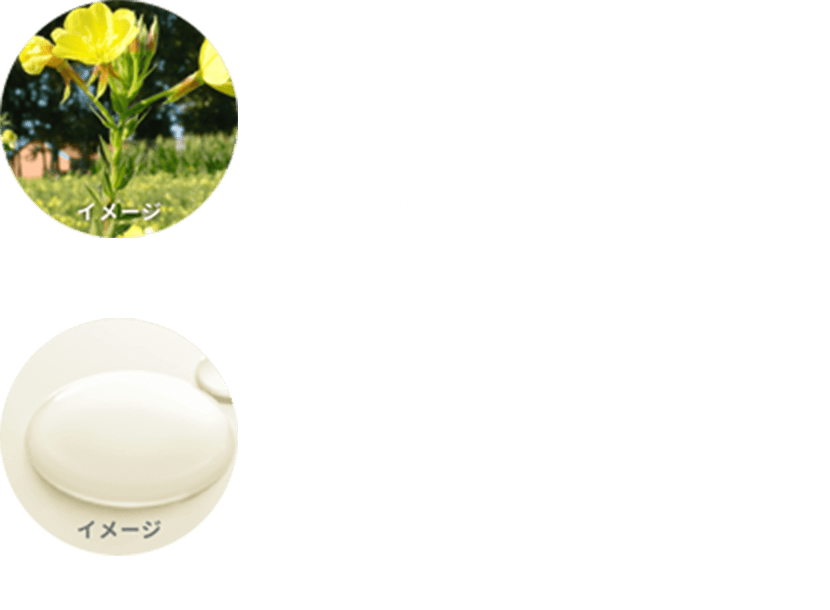 濡れツヤキープオイル（保湿成分）配合：月見薬油/毛髪トリートメント成分配合：加水分解ケラチンセラミドNG