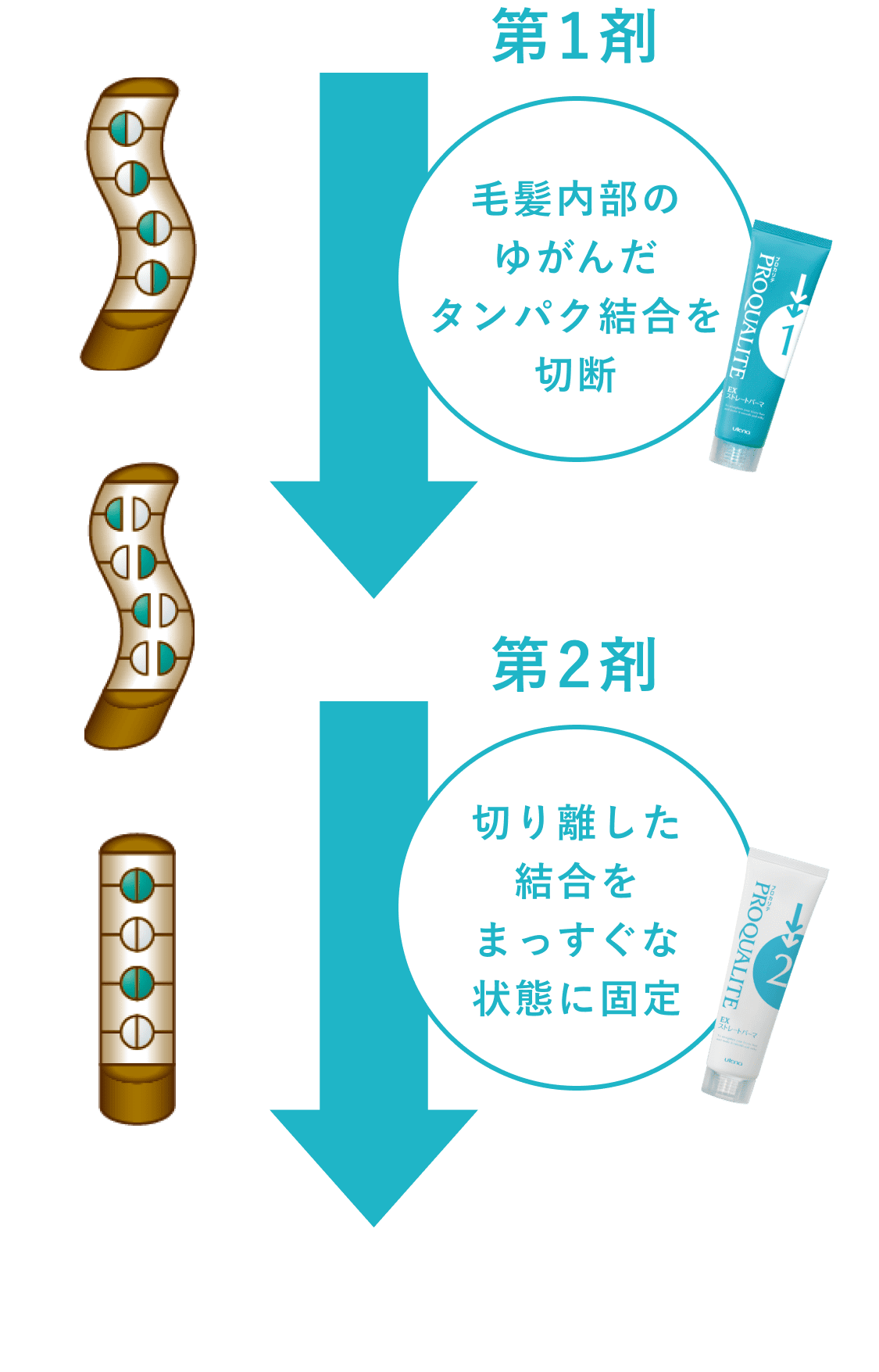 ＥＸストレートパーマ 商品説明