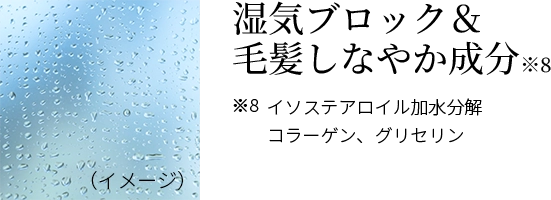 湿気ブロック＆毛髪しなやか成分※イソステアロイル加水分解コラーゲン、グリセリン