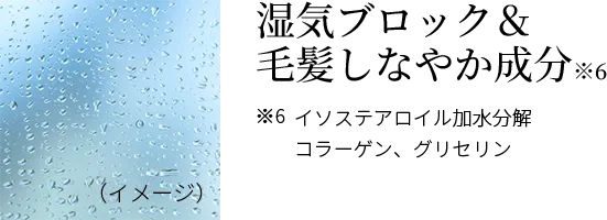 湿気ブロック＆毛髪しなやか成分※イソステアロイル加水分解コラーゲン、グリセリン