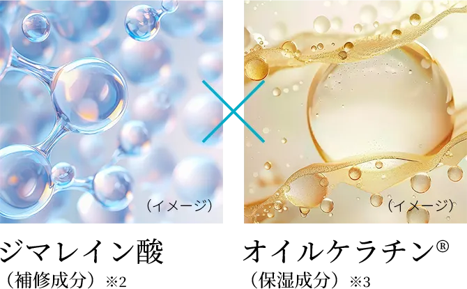 ジマレイン酸GP（補修成分）&オイルケラチン（保湿成分）
