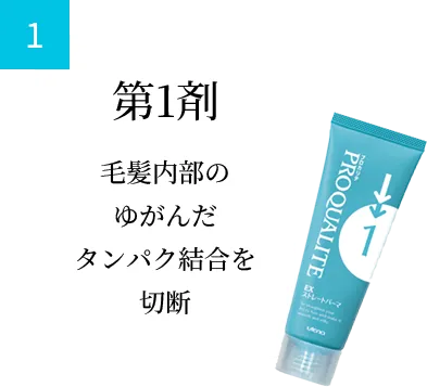 第1剤 毛髪内部の ゆがんだ タンパク結合を 切断