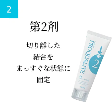 第2剤 切り離した 結合を まっすぐな状態に 固定