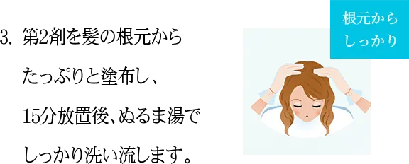 3.第2剤を髪の根元からたっぷりと塗布し、15分放置後、ぬるま湯でしっかり洗い流します。 根元からしっかり