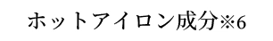 ホットアイロン成分※6