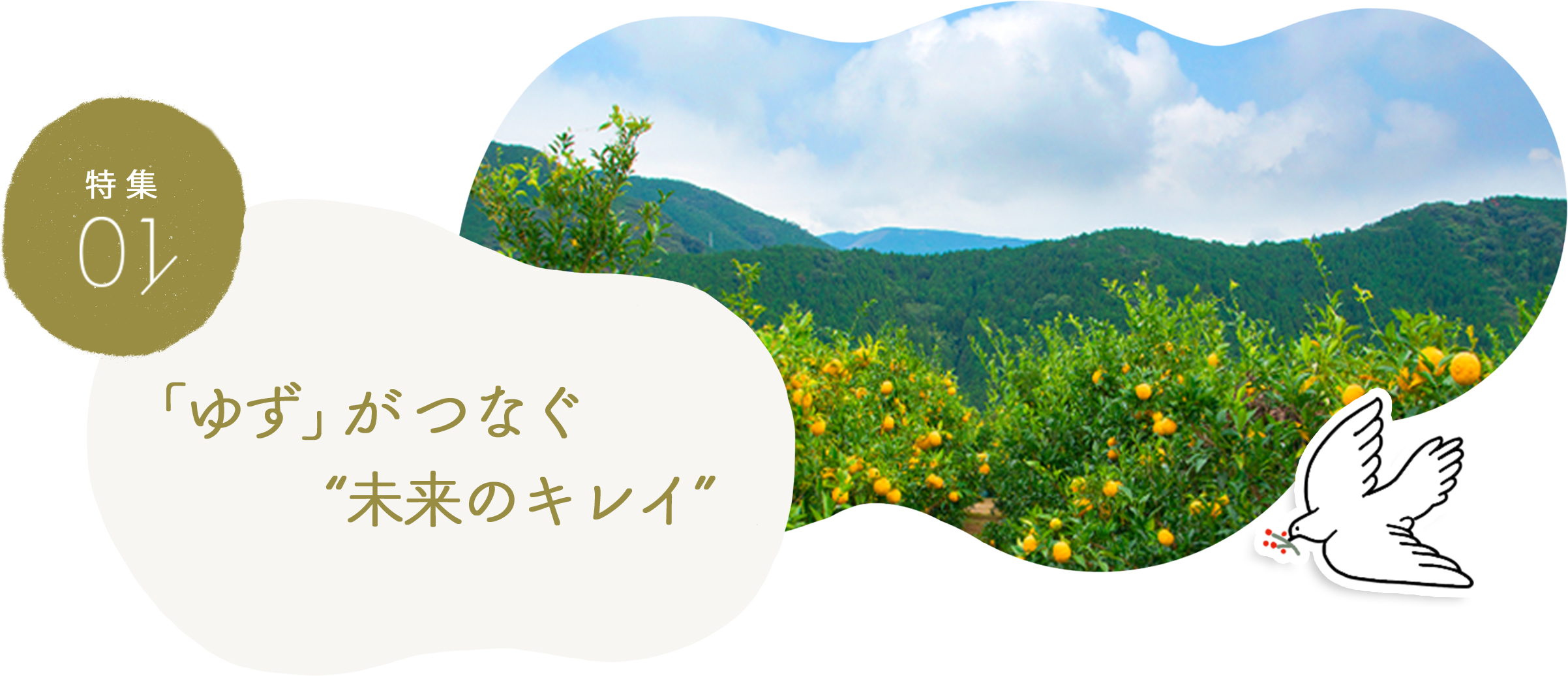 「ゆず」がつなぐ “未来のキレイ”