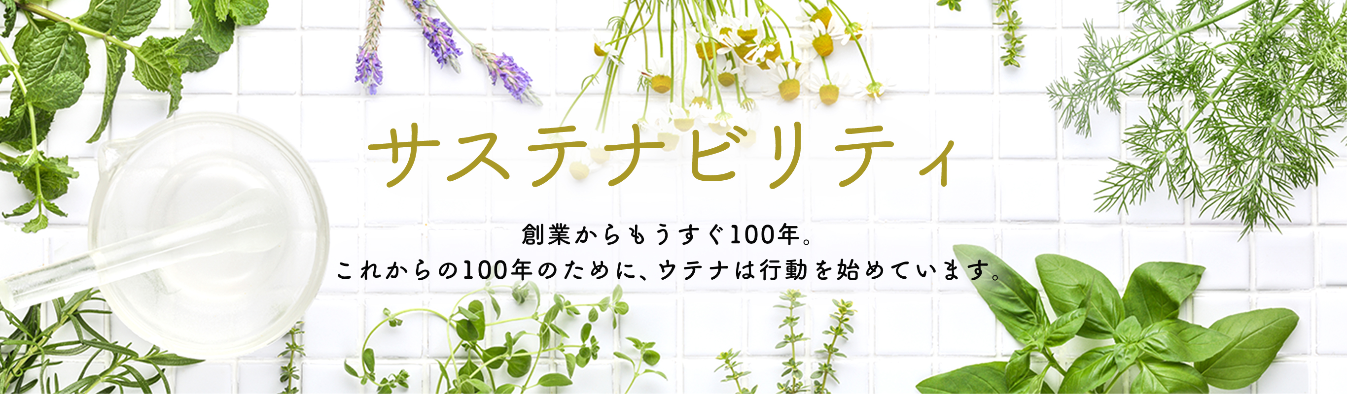 サステナビリティ 創業からもうすぐ100年。これからの100年のために、ウテナは行動を始めています。