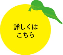 詳しくはこちら