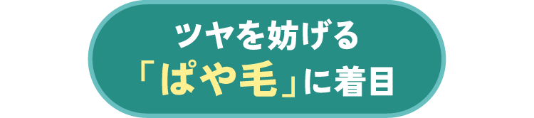 ツヤを防げる「ぱや毛」に着目